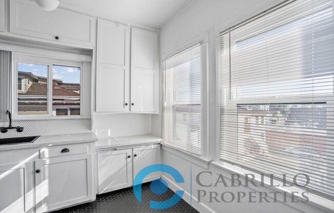 Studio, 1 bath, 341 sqft, $1,750, Unit 206