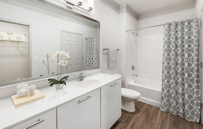 a white bathroom with a shower and a sink and a toilet