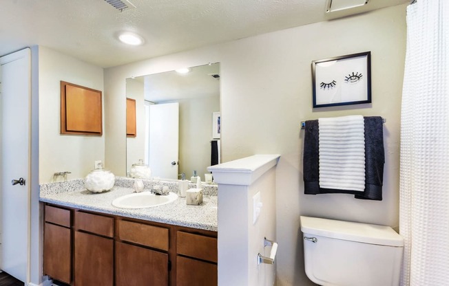 Model Bathroom at The Summit Apartments in Mesquite, Texas, TX