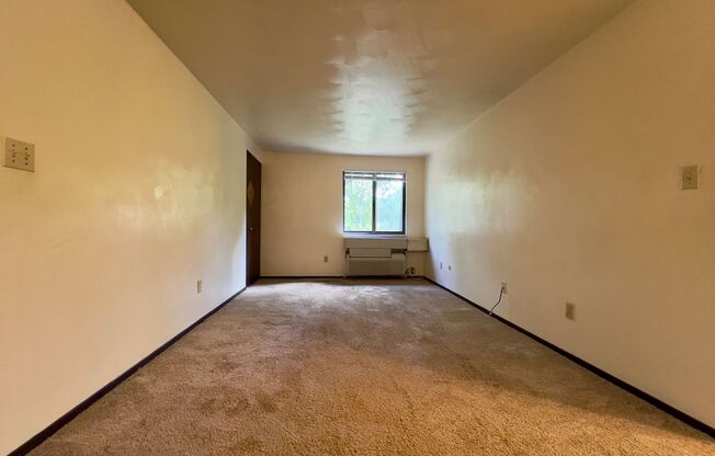 Cozy One Bedroom Apartment! Exposed Brick & Air Conditioning! Call Today!