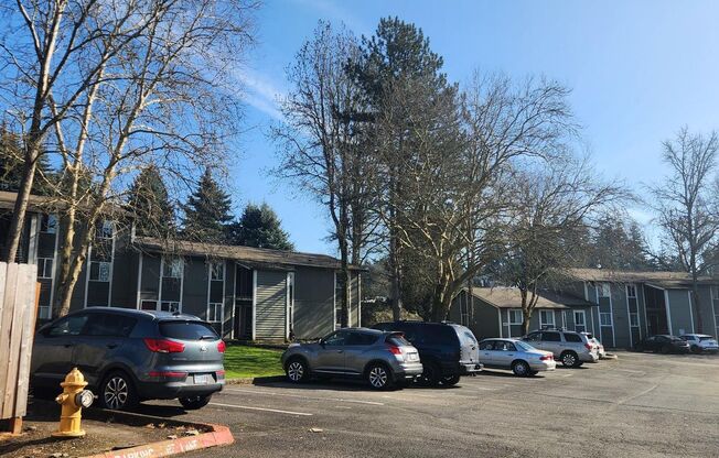 Jolene Apartments