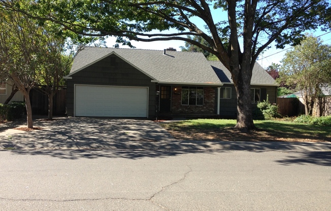 4 Bedroom Home Close to Campus-$750 Off 1st Month's Rent