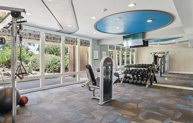 A gym with a variety of equipment including a treadmill, weights, and a punching bag.