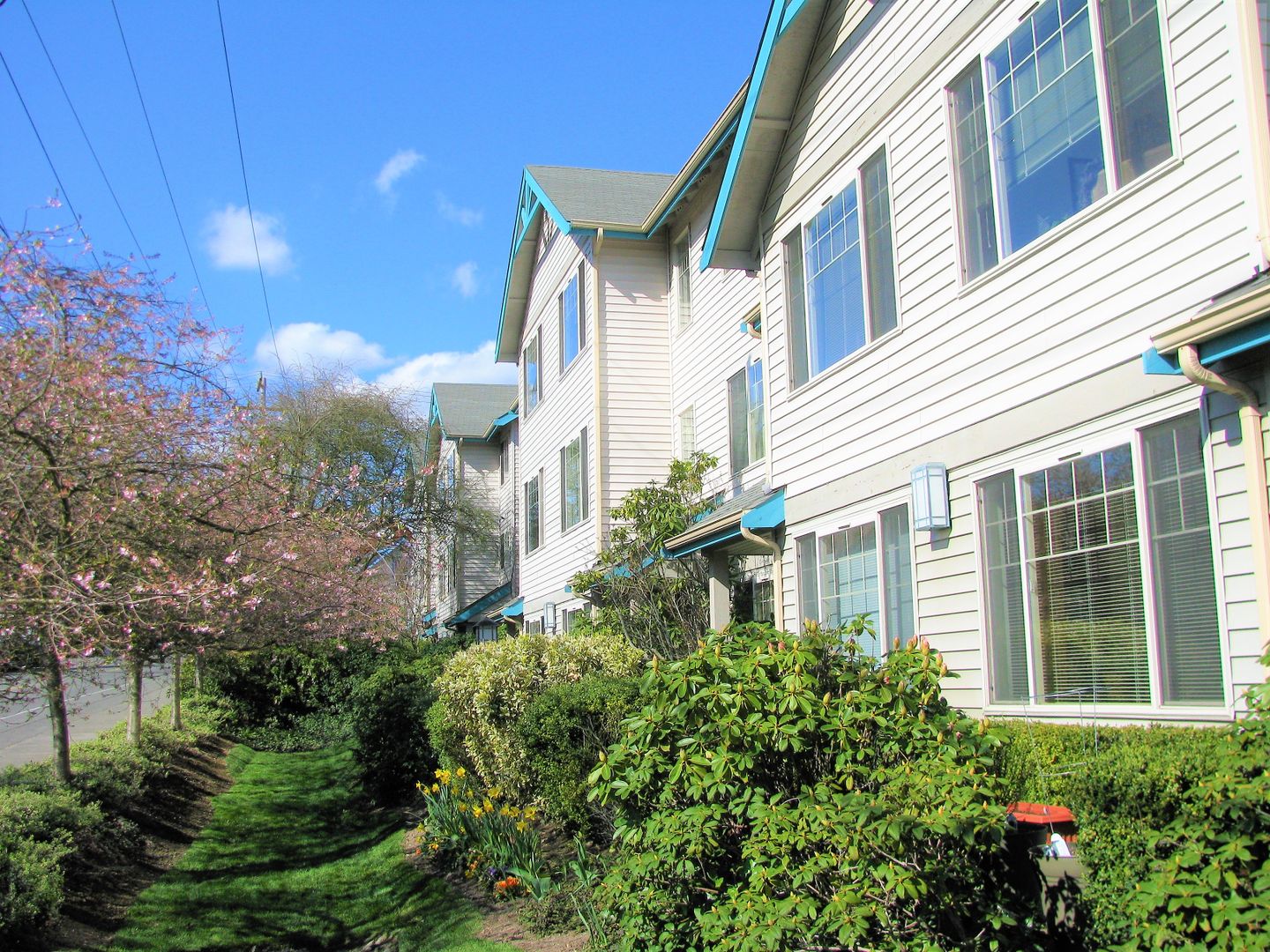 Lake Burien View