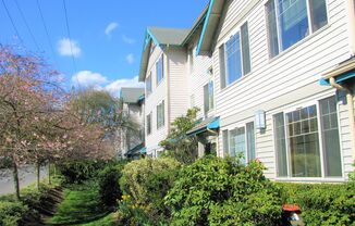 Lake Burien View