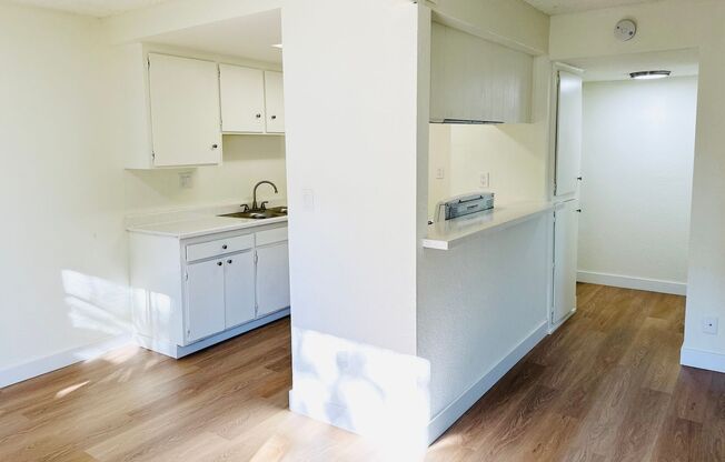 1 bed, 1 bath, 700 sqft, $1,875, Unit 33