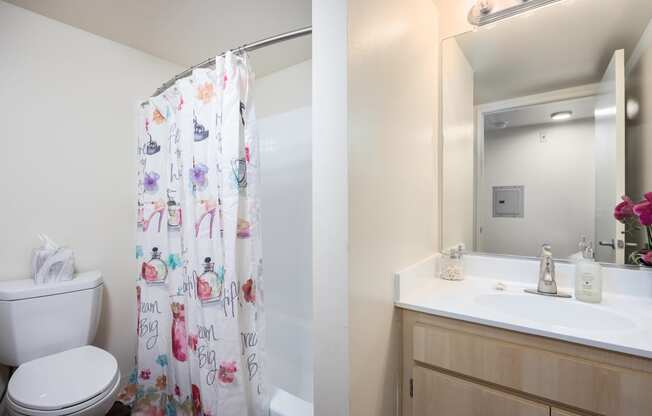 a bathroom with a shower toilet and sink