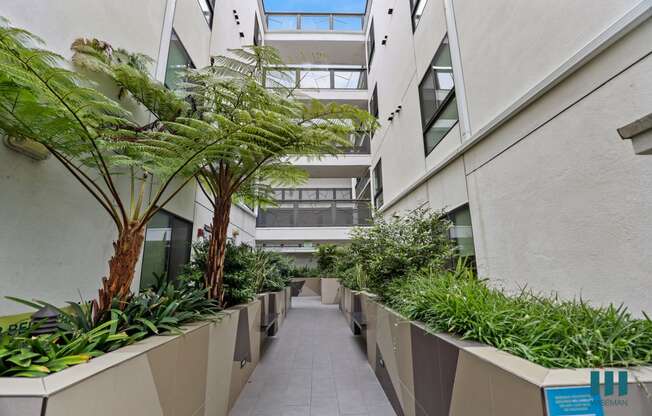 Interior Courtyard of Hayworth Hyde by Wiseman