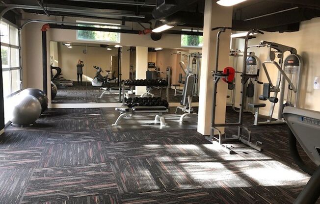 Studio, 1 bath, 649 sqft, $1,850, Unit 420