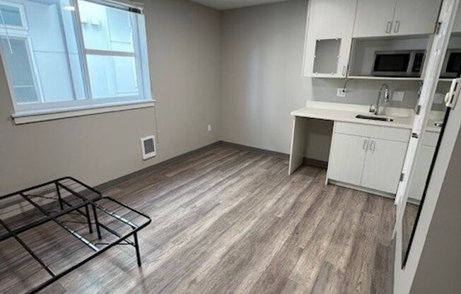 Studio, 1 bath, 172 sqft, $895, Unit A2