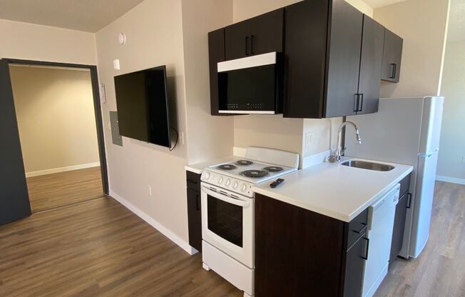 1 bed, 1 bath, 490 sqft, $1,325