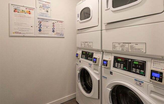 Studio, 1 bath, 325 sqft, $1,405, Unit 203