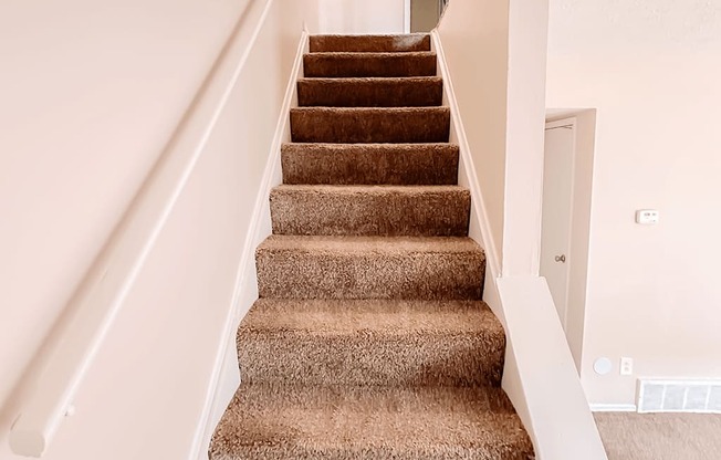 an image of a carpeted staircase in a home with white walls