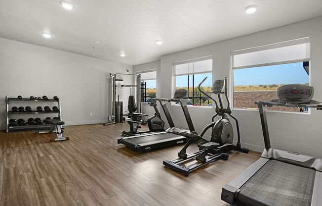 the gym in the home is pictured