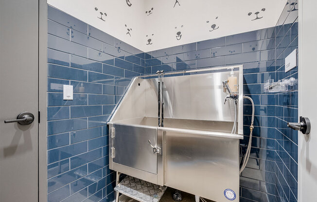 A blue dog washing station