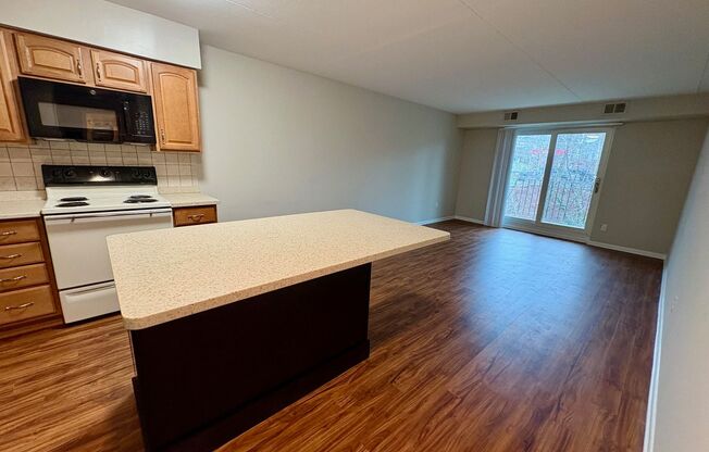 1 bed, 1 bath, $1,350, Unit Unit 111
