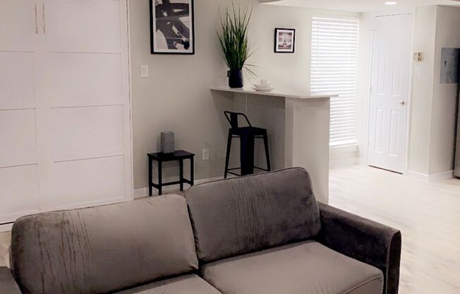 Studio, 1 bath, 443 sqft, $1,500