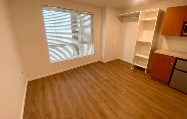 Studio, 1 bath, 175 sqft, $1,295, Unit 5206