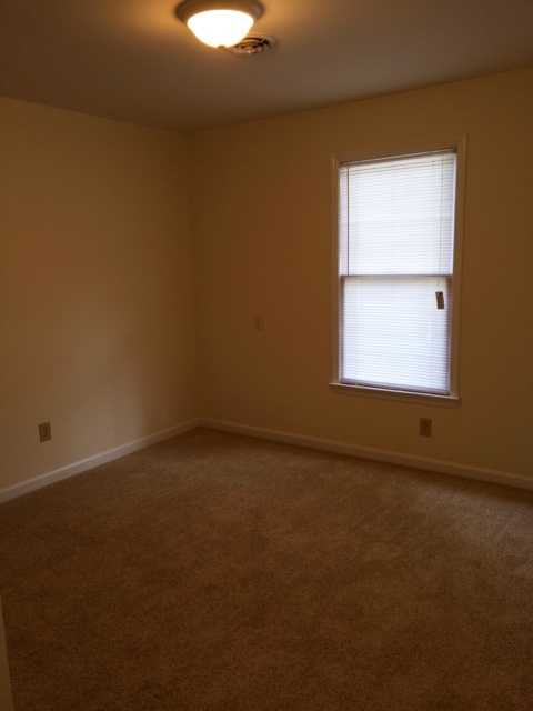 2 beds, 1 bath, $1,250