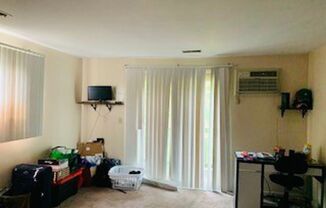 1 bed, 1 bath, $700, Unit 1