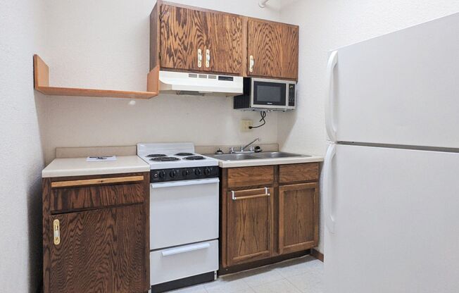 1 bed, 1 bath, 295 sqft, $555, Unit 405