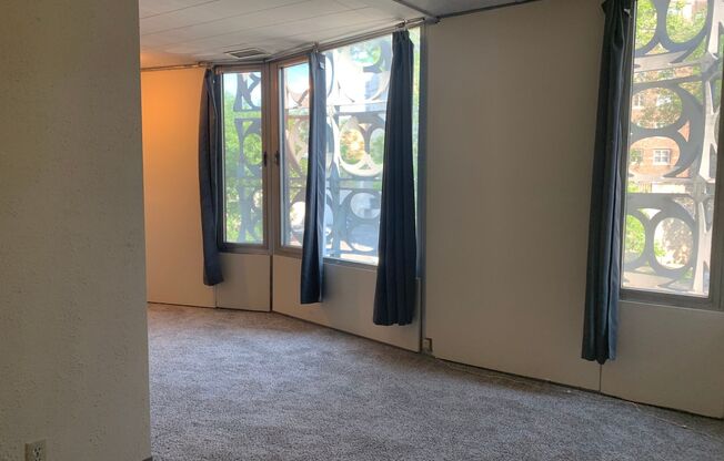 Studio, 1 bath, $750, Unit 373