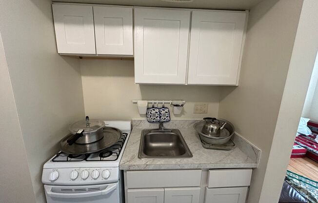 Studio, 1 bath, $825, Unit 207