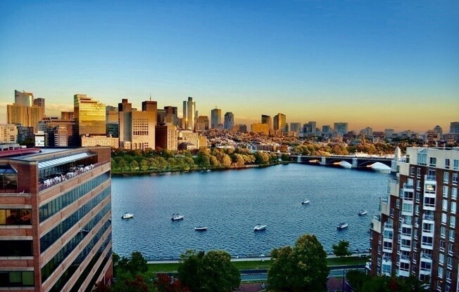 1 bed, 1 bath, 863 sqft, $3,500, Unit 703