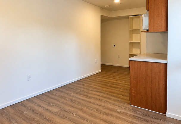 Studio, 1 bath, 190 sqft, $1,495, Unit 3210