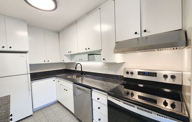 Updated extra large one bedroom at Woodlake