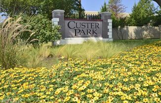 Custer Park