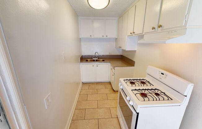 CAT - Royale Catalina