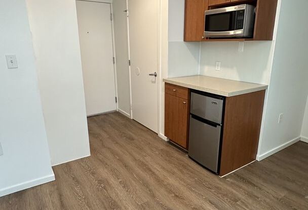 Studio, 1 bath, 175 sqft, $1,250, Unit 3401