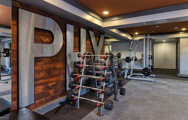 A gym with a variety of equipment including weights and a bench.