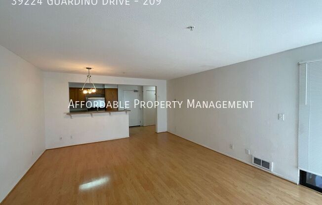 39224 Guardino Drive #203