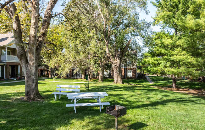 A park with benches and trees.
