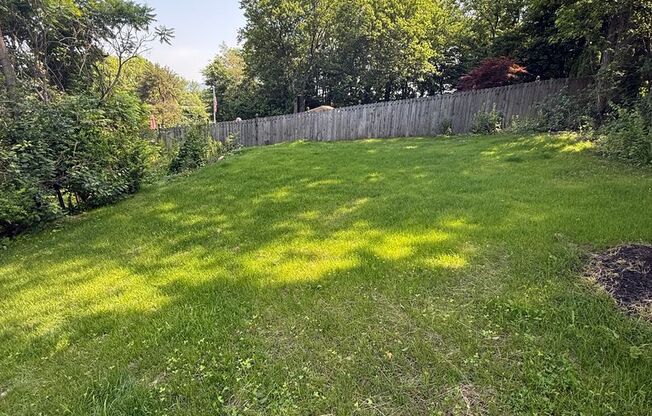 Hughestown Brand new remodel single  Family Home, Large Yard perfect for furry friend!