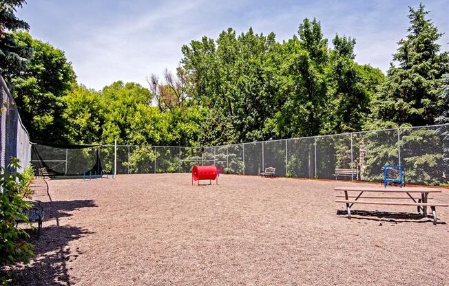 dog park with agility course