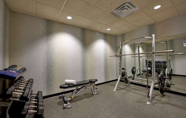 A gym with a bench, weights, and a squat rack.