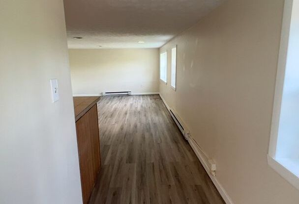 1 bed, 1 bath, 750 sqft, $550, Unit Apt. 1