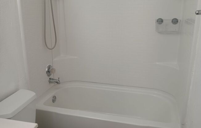 1 bed, 1 bath, $1,350, Unit D-104