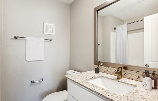 Model apartment bathroom