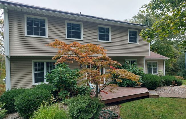 Spacious 4BR/3.5 BA Colonial Style Home with Mountain view