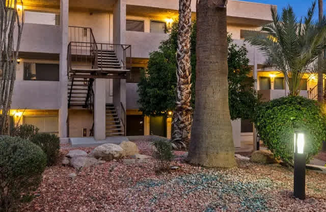 A building with a palm tree in front of it.