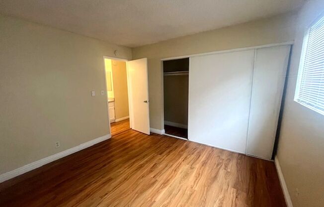 LB0634(Lime) (RUBS) (Imp.)