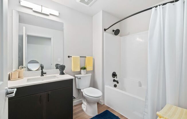 Studio, 1 bath, 350 sqft, $1,500, Unit 212