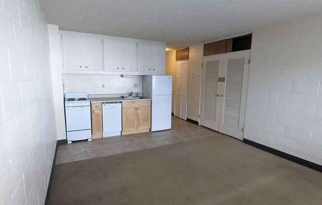 Studio, 1 bath, 302 sqft, $1,100, Unit 303