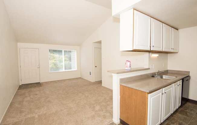 Martinazzi Village Vacant Kitchen