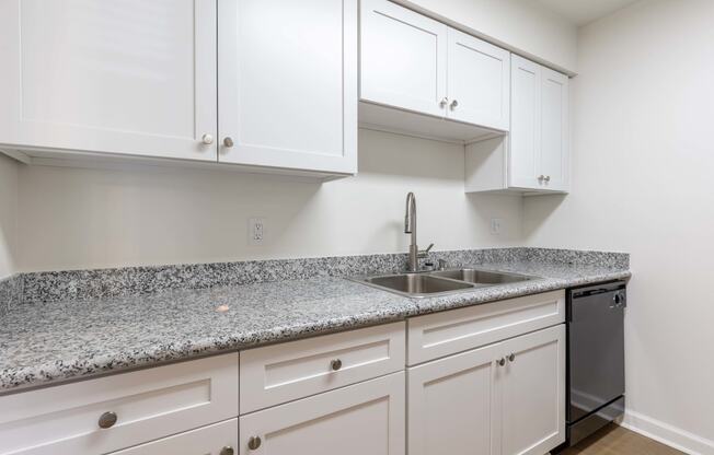 a kitchen with white cabinets and granite counter tops and a sink