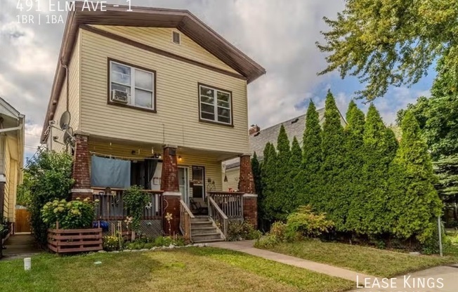 491 ELM